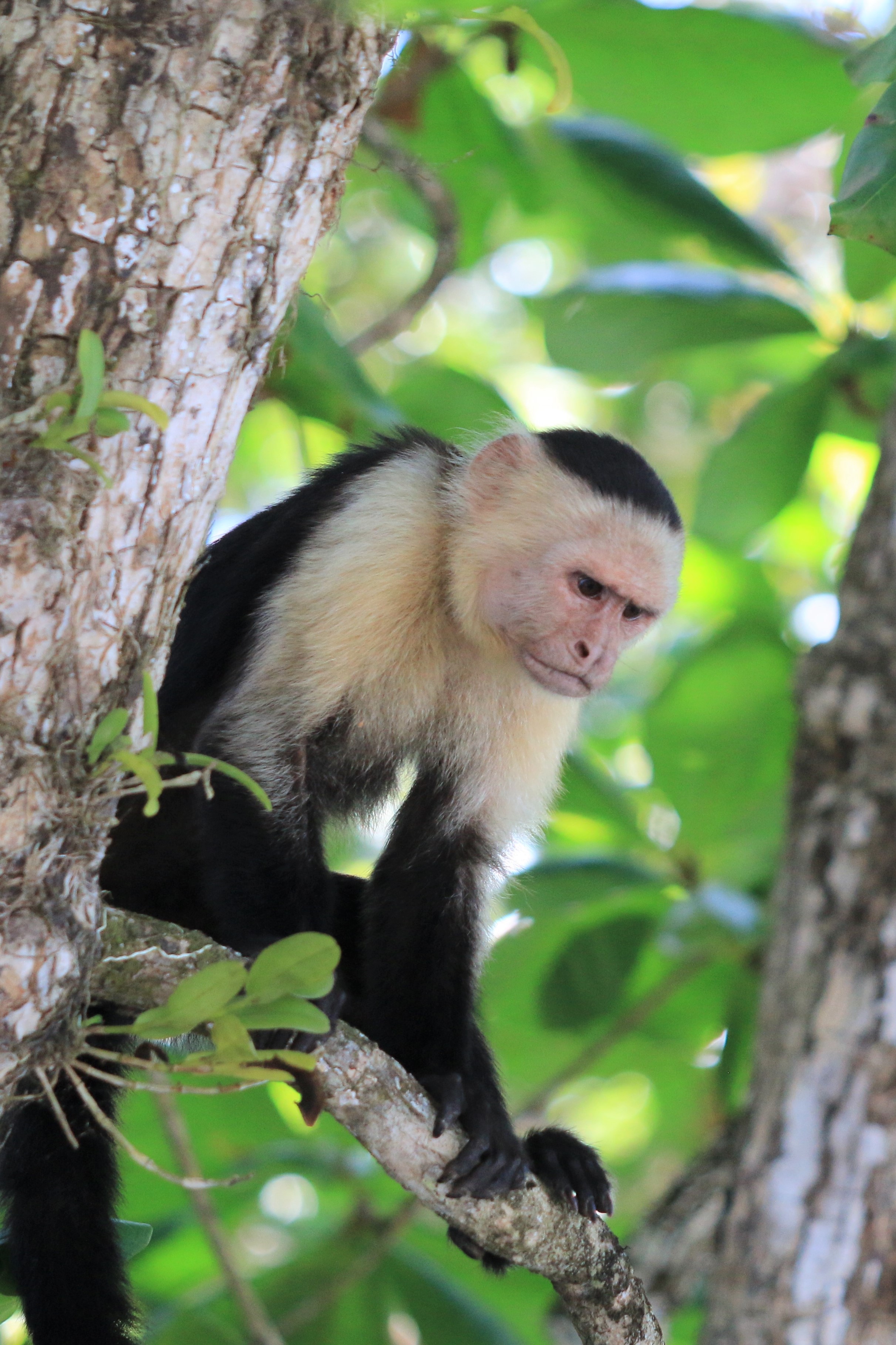 Costa Rica